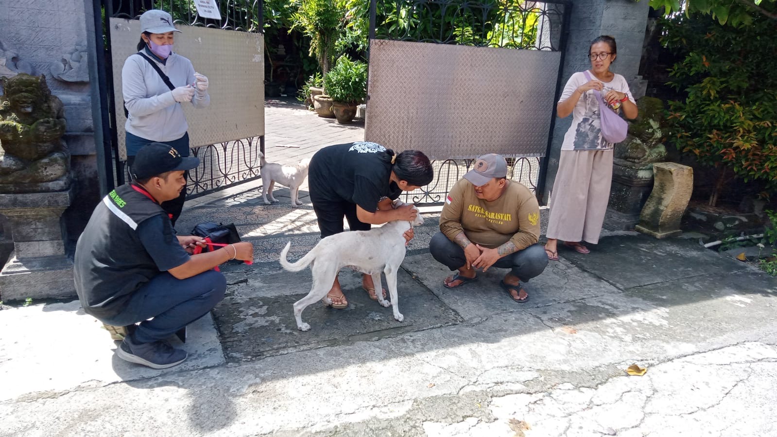 Kegiatan Vaksinasi Rabies di Beberapa Wilayah Desa Kesiman Petilan